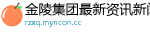 金陵集团最新资讯新闻网